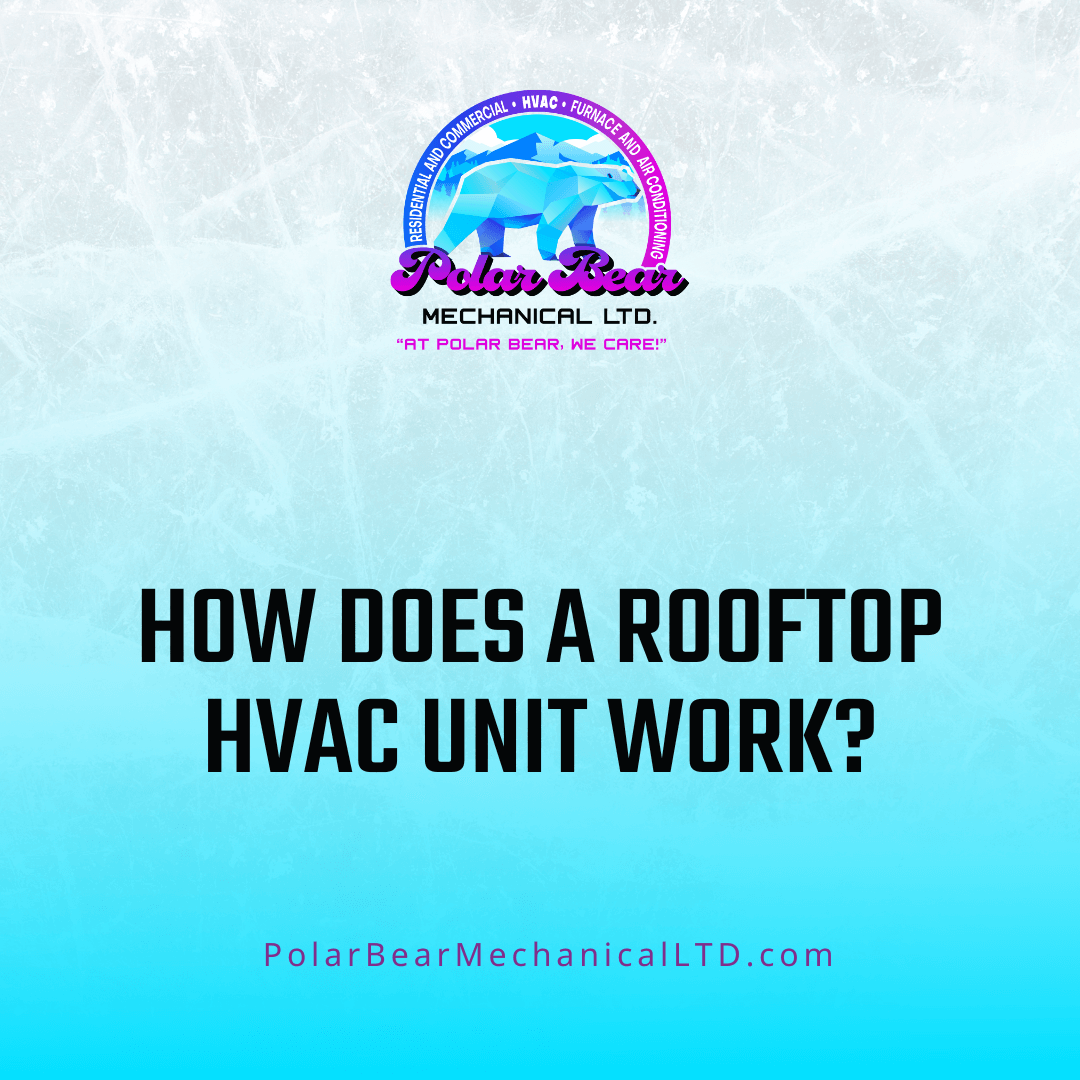 The graphic features an icy background with a blue and white overlay. In the center of the graphic is the title of the corresponding blog, which reads, "How Does a Rooftop HVAC Unit Work?"