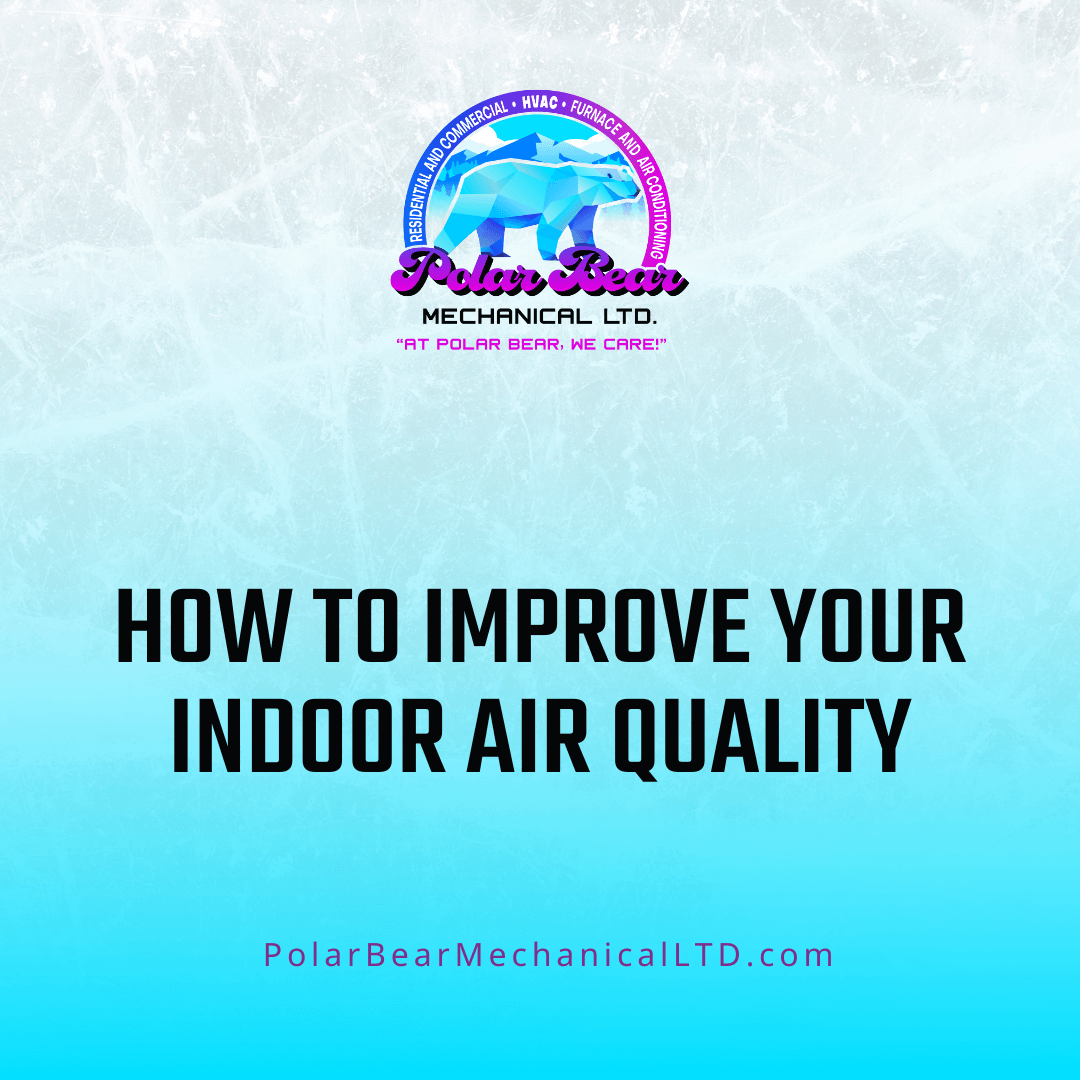 A picture of a blog image that reads, "How to Improve Your Indoor Air Quality".